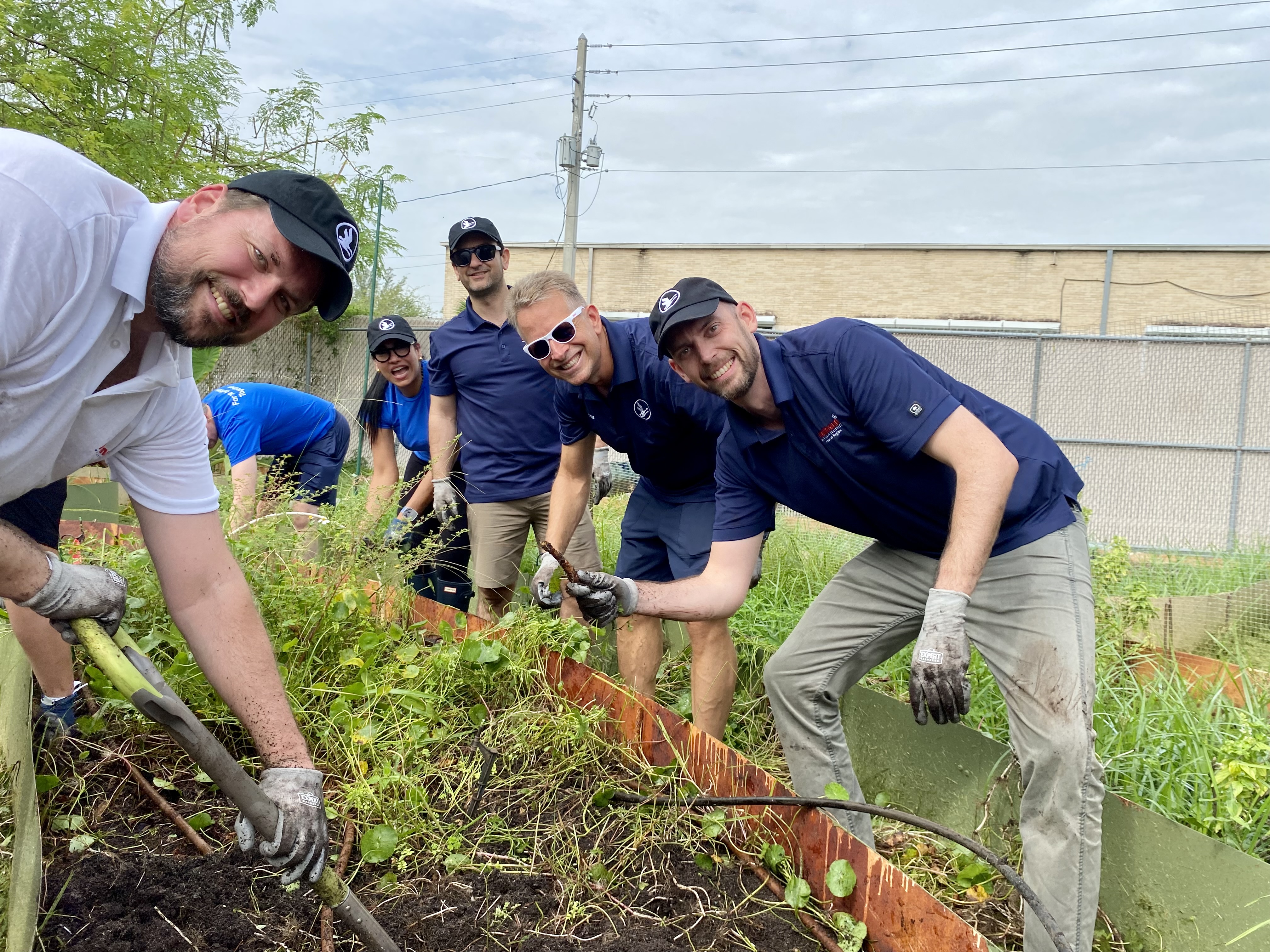 Team harvesting vegetables